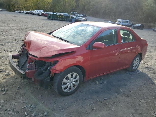 TOYOTA COROLLA BA 2010 with VIN 2T1BU4EE9AC339095 - Photo from auction
