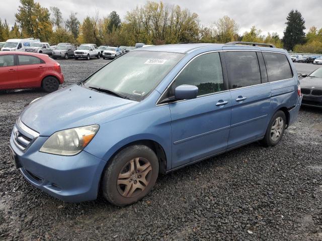 HONDA ODYSSEY EX 2007 with VIN 5FNRL38407B034278 - Photo from auction