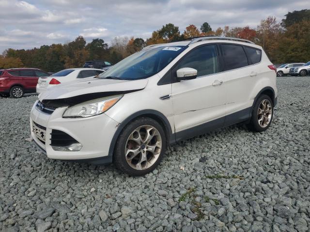 FORD ESCAPE TIT 2014 with VIN 1FMCU9J9XEUA01817 - Photo from auction