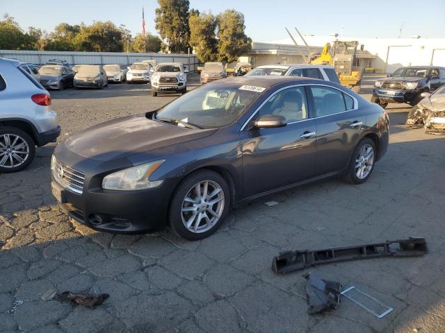 NISSAN MAXIMA S 2011 with VIN 1N4AA5AP2BC807640 - Photo from auction