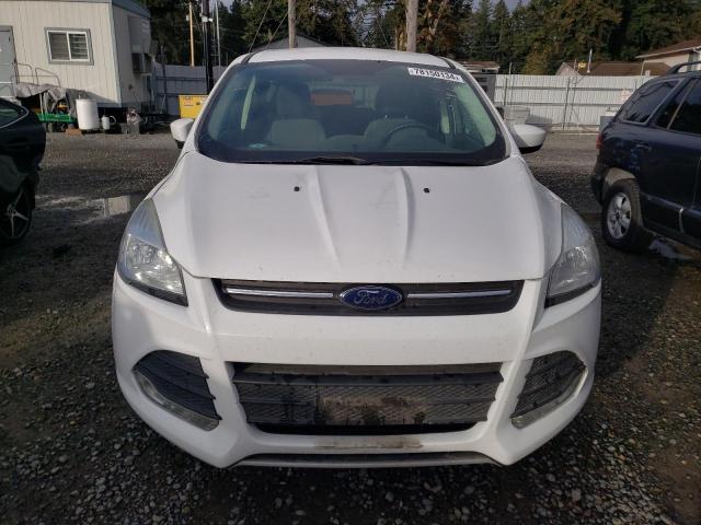 Photo 5 from auction – 2016 FORD ESCAPE SE with VIN 1FMCU9GX8GUC81150