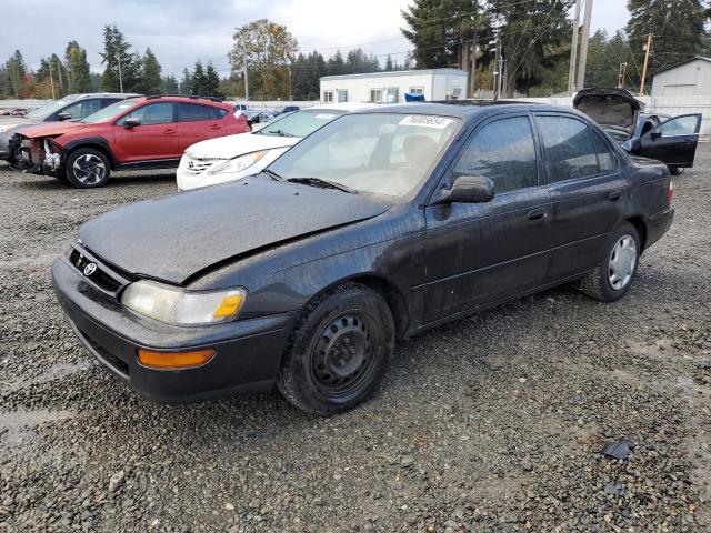 Photo 1 from auction – 1997 TOYOTA COROLLA DX with VIN 1NXBB02EXVZ606980
