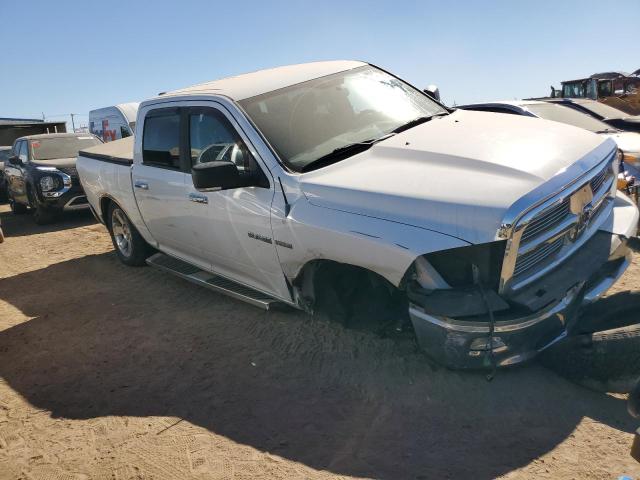 Photo 4 from auction – 2010 DODGE RAM 1500 with VIN 1D7RV1CT6AS136892