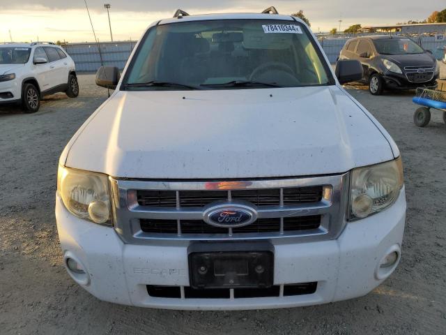 Photo 5 from auction – 2008 FORD ESCAPE XLT with VIN 1FMCU93108KE82300