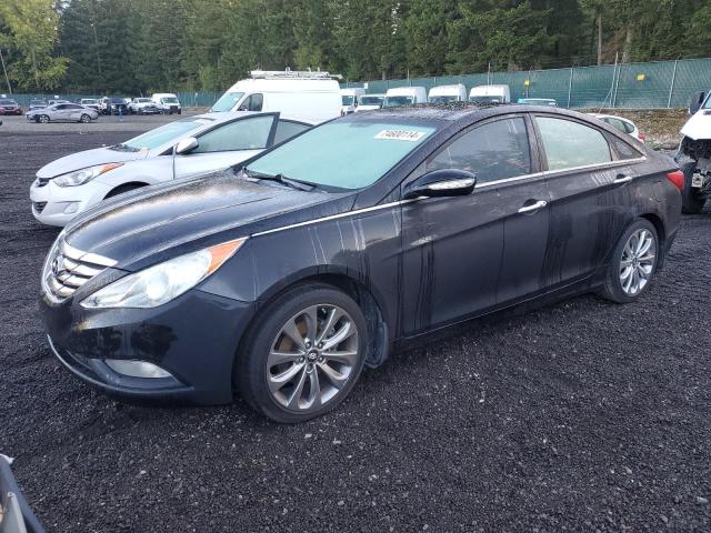 HYUNDAI SONATA SE 2013 with VIN 5NPEC4AB4DH567020 - Photo from auction