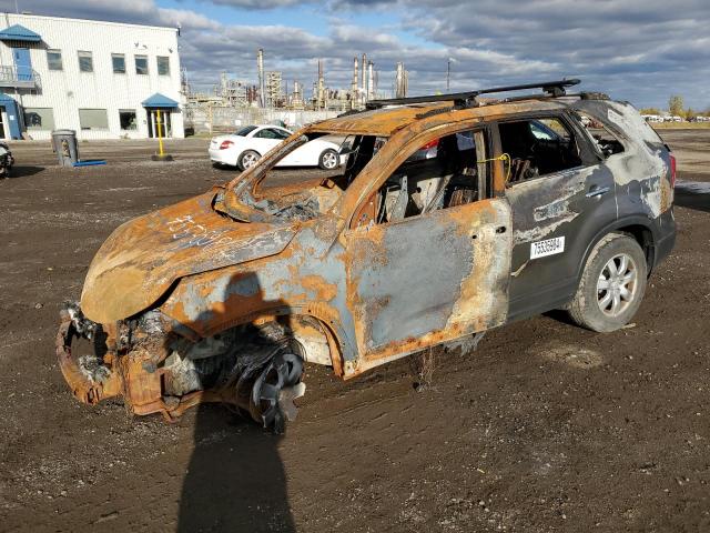Photo 1 from auction – 2011 KIA SORENTO BA with VIN 5XYKT3A16BG186679