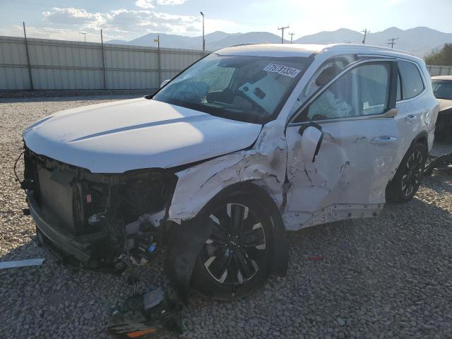 Photo 1 from auction – 2023 KIA TELLURIDE with VIN 5XYP5DGC6PG359719