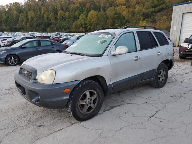 Photo 1 from auction – 2003 HYUNDAI SANTA FE with VIN KM8SC73E63U536654