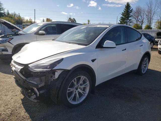 TESLA MODEL Y 2023 with VIN 7SAYGDEE7PF597317 - Photo from auction