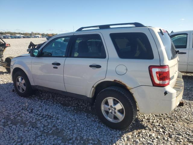 Photo 2 from auction – 2010 FORD ESCAPE XLT with VIN 1FMCU0DG5AKD44773