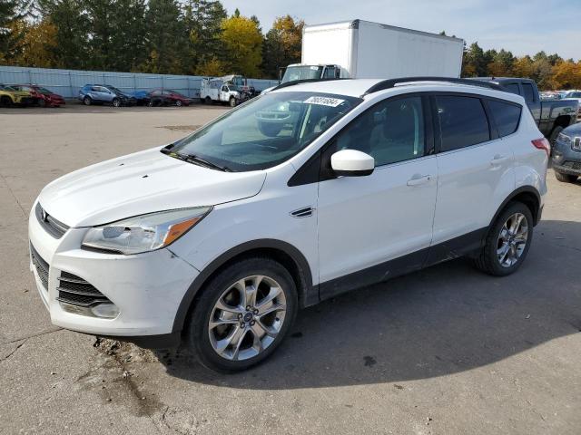 FORD ESCAPE SE 2014 with VIN 1FMCU9GXXEUB70046 - Photo from auction