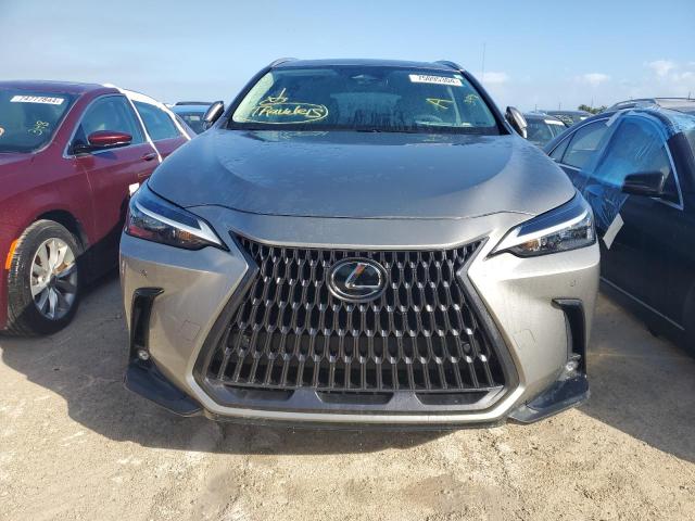 Photo 5 from auction – 2023 LEXUS NX 350 with VIN 2T2GGCEZ5PC023952