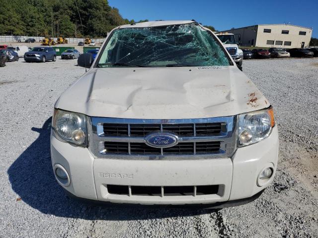 Photo 5 from auction – 2010 FORD ESCAPE XLT with VIN 1FMCU0D79AKB11432