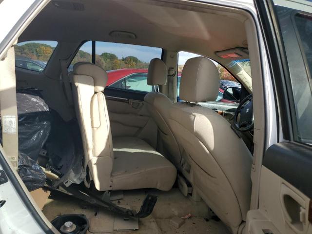 Foto 10 de la subasta – 2007 HYUNDAI SANTA FE G con VIN 5NMSG73D17H003169