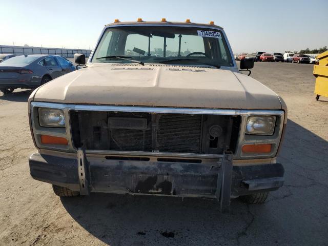 Photo 5 from auction – 1985 FORD F150 with VIN 1FTEX15H7FKA18059