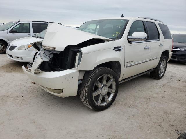 CADILLAC ESCALADE P 2011 with VIN 1GYS3CEF0BR118038 - Photo from auction