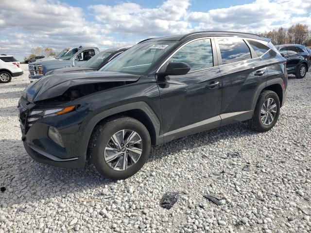 HYUNDAI TUCSON BLU 2023 with VIN KM8JBCA16PU120231 - Photo from auction
