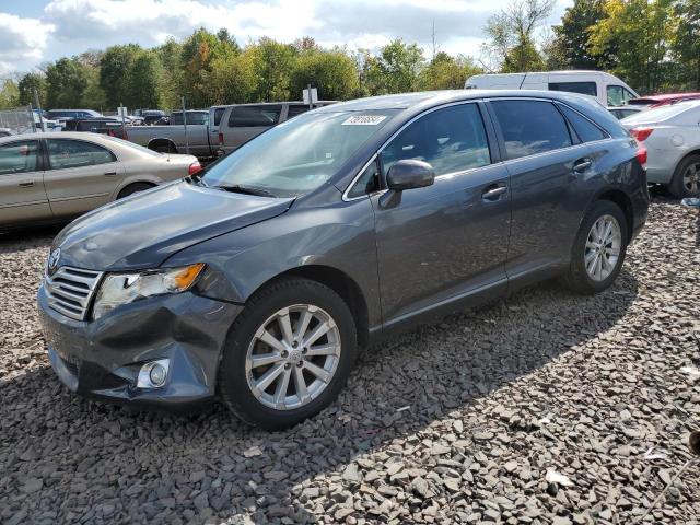 TOYOTA VENZA 2009 with VIN 4T3BE11A29U001022 - Photo from auction