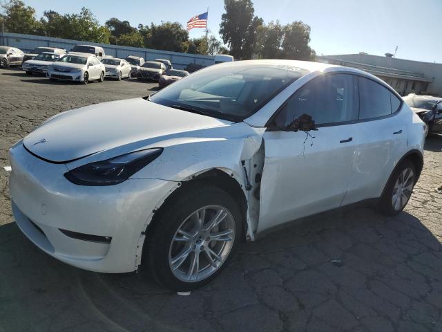 TESLA MODEL Y 2023 with VIN 7SAYGDEE2PF956640 - Photo from auction