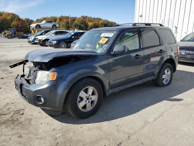 Photo 1 from auction – 2009 FORD ESCAPE XLT with VIN 1FMCU03739KA06981