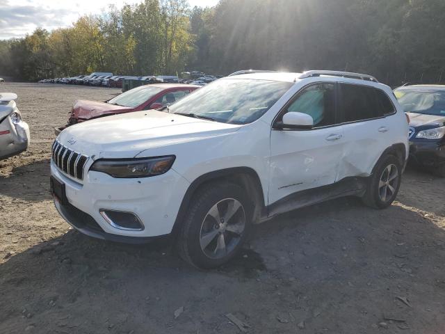 JEEP CHEROKEE L 2019 with VIN 1C4PJMDX3KD229987 - Photo from auction