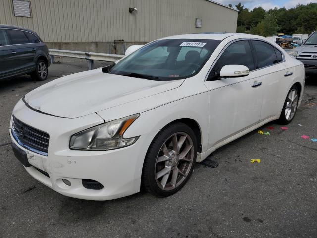 NISSAN MAXIMA S 2009 with VIN 1N4AA51E49C848327 - Photo from auction
