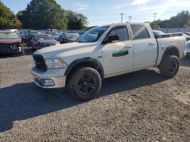 DODGE RAM 1500 2010 with VIN 1D7RV1CT6AS227368 - Photo from auction