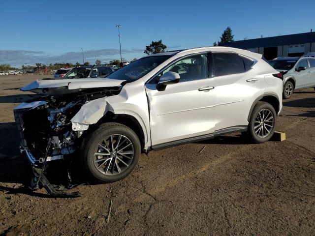 LEXUS NX 250 2022 with VIN 2T2GDCEZ0NC001511 - Photo from auction