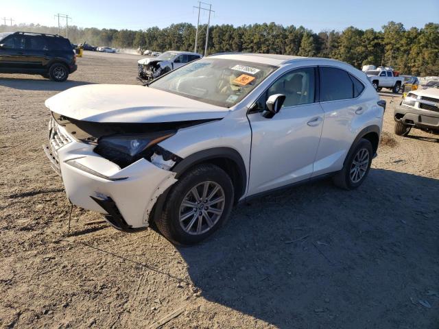 LEXUS NX 300 BAS 2021 with VIN JTJDARBZ1M5029186 - Photo from auction