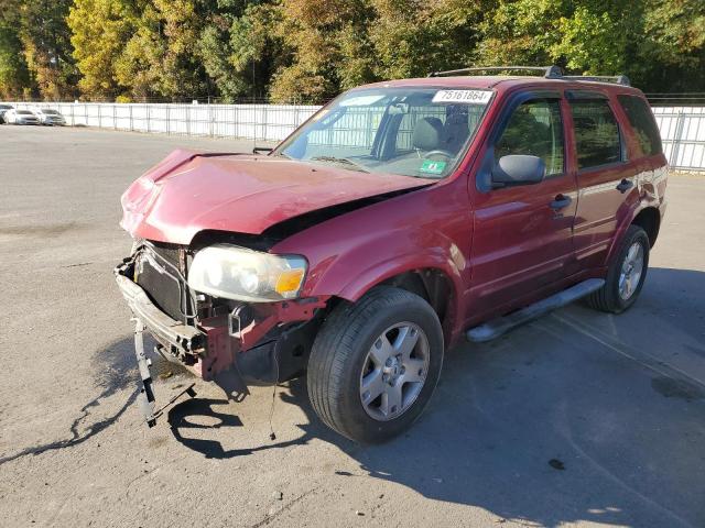 FORD ESCAPE XLT 2007 with VIN 1FMYU03117KC06241 - Photo from auction