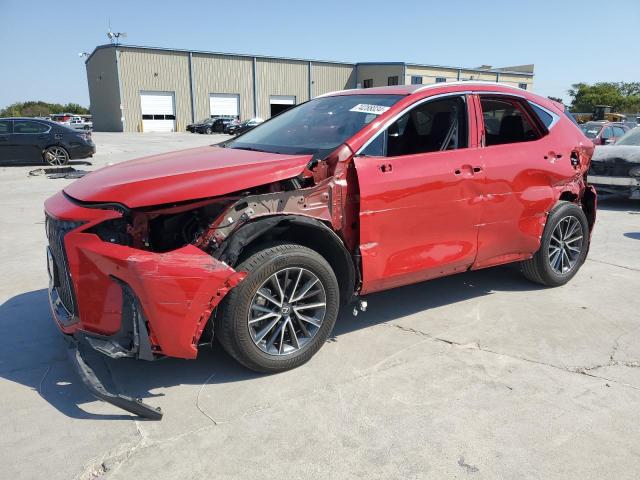 LEXUS NX 250 2022 with VIN 2T2GDCAZ0NC002034 - Photo from auction