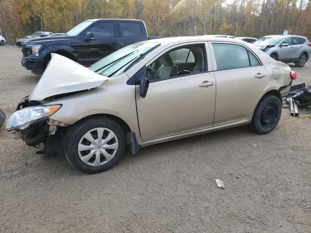 TOYOTA COROLLA BA 2010 with VIN 2T1BU4EE6AC259768 - Photo from auction