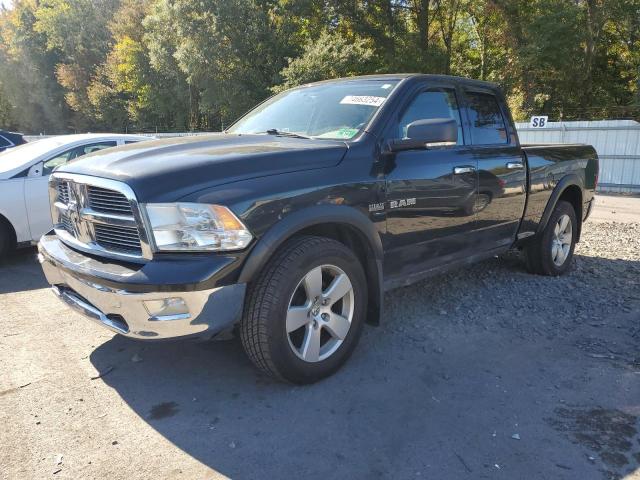DODGE RAM 1500 2010 with VIN 1D7RV1GT2AS207757 - Photo from auction