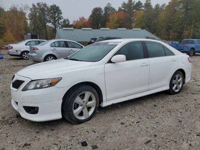 TOYOTA CAMRY BASE 2010 with VIN 4T1BF3EK5AU523393 - Photo from auction