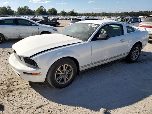Photo 1 from auction – 2005 FORD MUSTANG with VIN 1ZVFT80N955115893