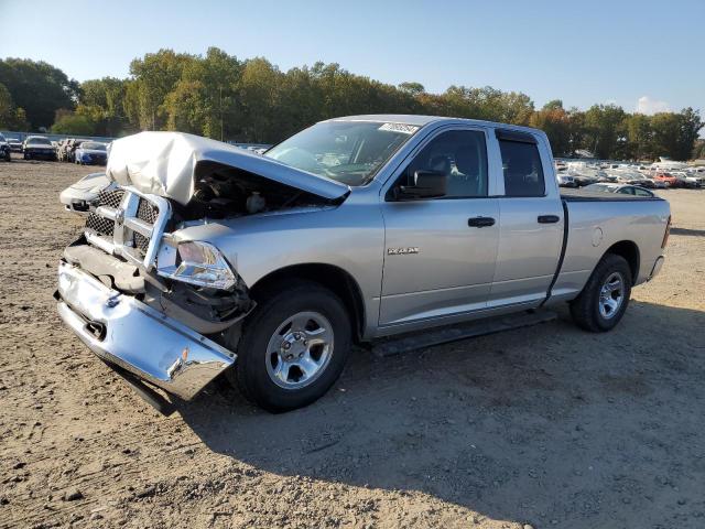 DODGE RAM 1500 2010 with VIN 1D7RB1GK9AS246183 - Photo from auction