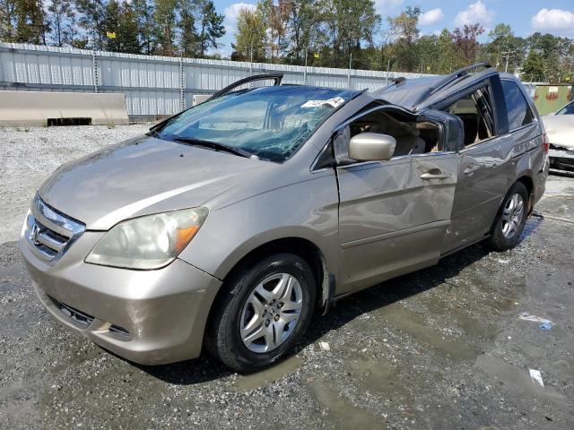 HONDA ODYSSEY EX 2007 with VIN 5FNRL38617B443486 - Photo from auction