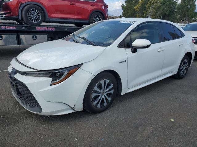 TOYOTA COROLLA LE 2020 with VIN JTDEBRBE8LJ005734 - Photo from auction