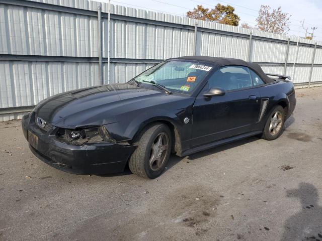 FORD MUSTANG 2004 with VIN 1FAFP44644F233397 - Photo from auction