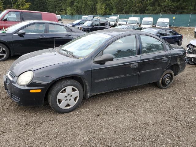DODGE NEON SE 2003 with VIN 1B3ES26C63D229990 - Photo from auction