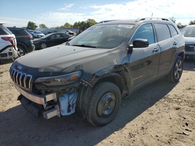 JEEP CHEROKEE L 2019 with VIN 1C4PJMDN8KD237727 - Photo from auction