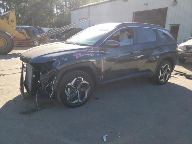 HYUNDAI TUCSON SEL 2024 with VIN 5NMJFCDE8RH342867 - Photo from auction
