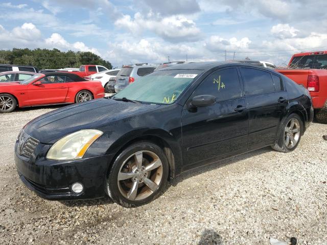 NISSAN MAXIMA SE 2006 with VIN 1N4BA41E86C859857 - Photo from auction