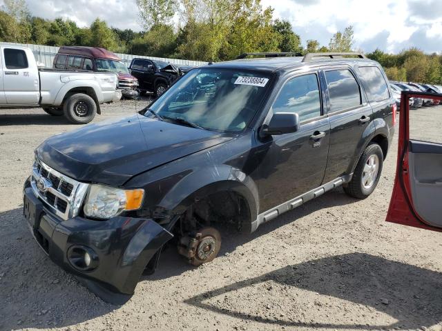 FORD ESCAPE XLT 2011 with VIN 1FMCU9DG3BKB42973 - Photo from auction