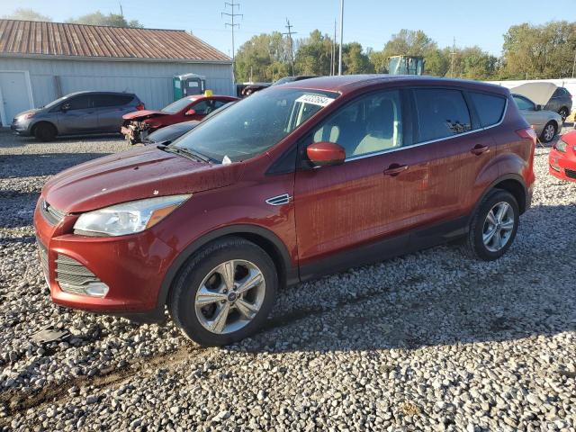 FORD ESCAPE SE 2014 with VIN 1FMCU0GXXEUE32725 - Photo from auction