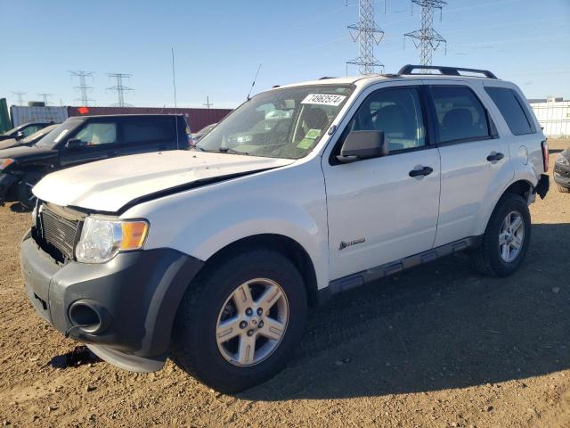 FORD ESCAPE HYB 2009 with VIN 1FMCU59359KA71297 - Photo from auction