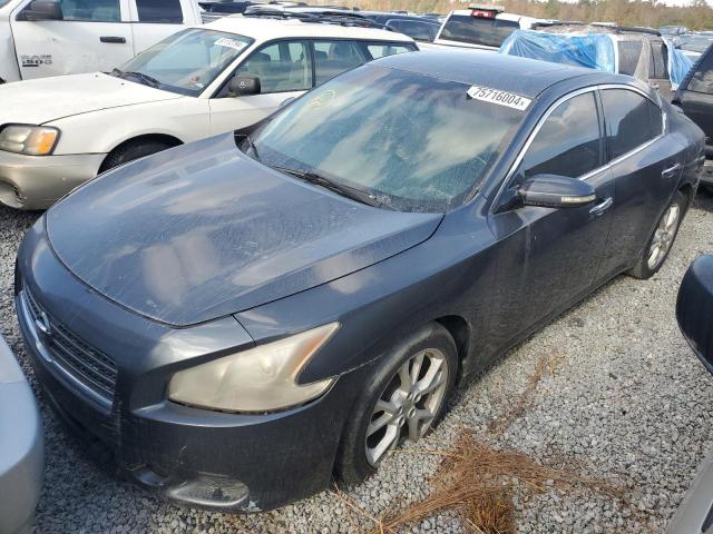 Фото 1 с аукциона – 2009 NISSAN MAXIMA S с VIN 1N4AA51E89C824922