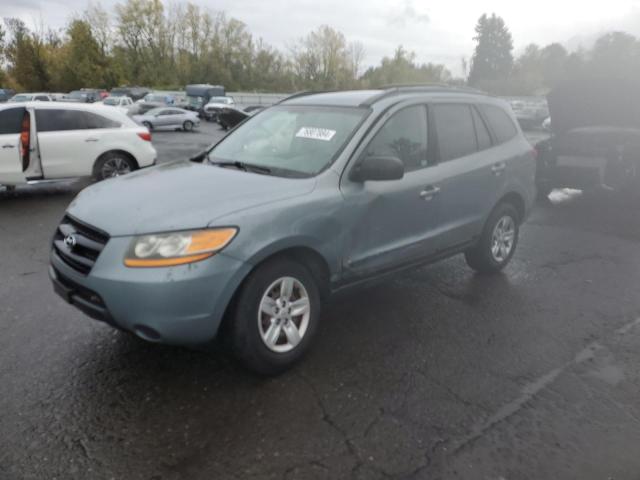 HYUNDAI SANTA FE G 2009 with VIN 5NMSG13D59H296610 - Photo from auction