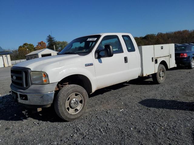 Photo 1 from auction – 2006 FORD F250 SUPER with VIN 1FDSX21506EA04065
