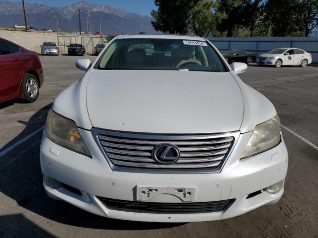 Photo 5 from auction – 2010 LEXUS LS 460 with VIN JTHBL5EF3A5101482